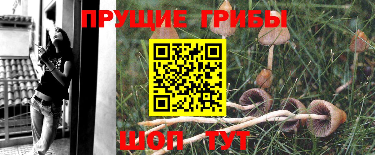 Ейск  Галлюциногенные грибы MAGIC MUSHROOMS  Вход с VPN  Псилоцибиновые грибы Magic Shrooms 