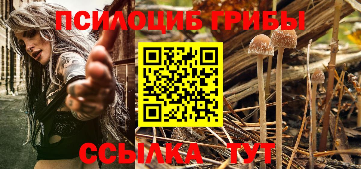 Псилоцибиновые грибы прущие грибы Ейск